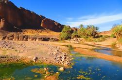 Tour privado de día completo de Ouarzazate y Oasis Fint