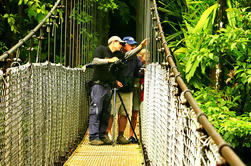 Mistico Parco Hanging Bridges Guided Tour