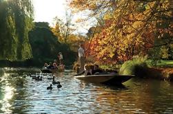 Pointage sur la rivière Avon avec visite facultative des télécabines de Christchurch et des jardins botaniques