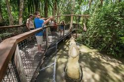 Hartley's Big Crocodile alimentação experiência de Cairns ou Palm Cove