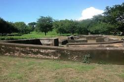 Private Walking Tour of Leon Viejo Ruins