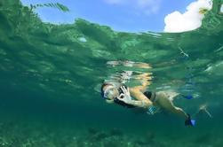 Snorkel Tour en Cenote y en el Mar Caribe