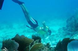 Excursión de buceo en aguas abiertas y arrecifes de coral en Cancún