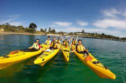 Mornington Peninsula Kayak Coastline Tour of Dolphin Sanctuary