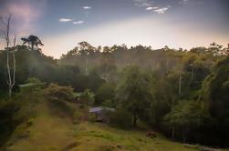 Programme de 7 jours pour les Rangers de la faune à Puerto Viejo De Talamanca