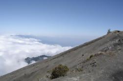 Excursión de un día al Volcán Irazú, Valle de Oros y Jardines de Lankester