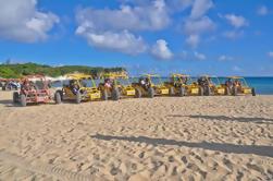 Punta Cana Buggy Adventure: Pool naturale, Coffee Plantation e Macao Beach