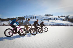 Paseo de eBike de grasa en el Monte Real