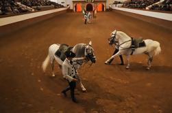 Jerez en Cádiz dagje uit Sevilla