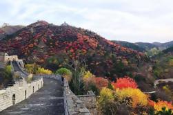 Coach Tour: Mutianyu Great Wall dagtrip met Lunch