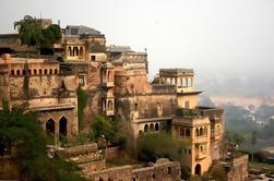 Private Day Trip to Neemrana Fort Palace Inkludert Ziplining på Flying Fox Neemrana og en Camel cart ride