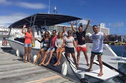 Excursión en barco por el grupo pequeño de la costa sur de Ponta Delgada