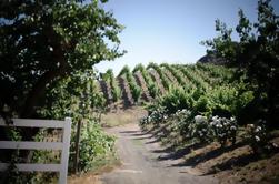 Caminata del vino del campo de Malibu