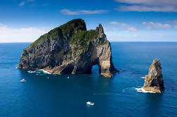 Bay of Islands Boat Cruise turen inkludert privat transport fra Auckland