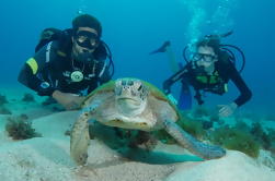 Dykking i Fernando de Noronha