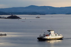 Oslo Shore Excursion: Croisière sur le fjord d'Oslo