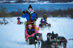 Conduzca un Trineo Husky en Tromso