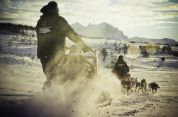 Husky Sledding Ride incluyendo el almuerzo de la hoguera de Tromso