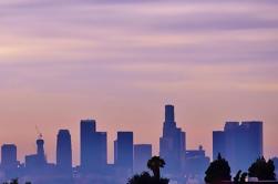 Private Half-Day Los Angeles City Tour