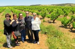 Barossa Valley Wine Exploration Dagstur fra Adelaide eller Glenelg