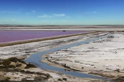 Arles, Camargue og Aigues-Mortes fra Avignon