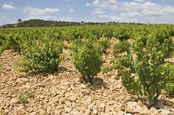 Ruta del vino del Valle del Ródano desde Avignon