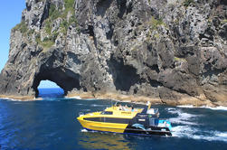 Excursión de medio día al descubrimiento de la Bahía de las islas desde Paihia