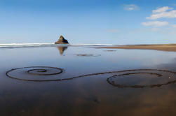 Kust en Rainforest Walk Eco-Tour van Auckland