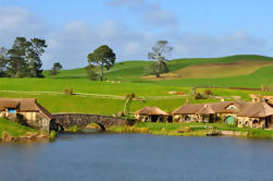 Small-Group Tour: The Lord of the Rings Hobbiton Movie Set Tour van Auckland