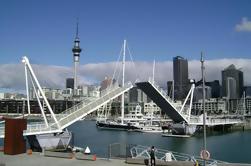 Auckland Shore Excursion: Pequenos grupos de Auckland City Tour