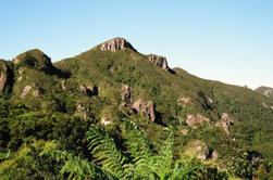 Great Barrier Island Tour inclusief retourvluchten vanuit Auckland