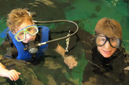 Nadar con los peces en el acuario de la Florida en Tampa Bay