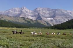 Halbtages-Reitweg in Kananaskis