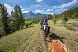 Passeio e Almoço de Passeio a Cavalo de Dia Inteiro em Kananaskis