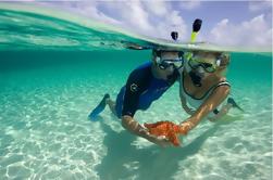 Crucero de buceo de día completo desde Hurghada