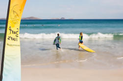 7 giorni Surf Adventure da Brisbane a Sydney Compreso Bondi Beach, Byron Bay e la Gold Coast