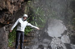 Excursão de um dia para um pequeno grupo de 4WD Lamington National Park a partir de Brisbane