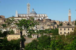 Tour privado a pie: Siena y sus tesoros