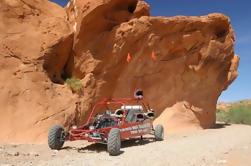 Excursión de Buggy en el Valle del Fuego