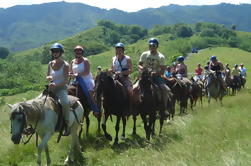 Zip n 'Ride Luifel van Cabarete