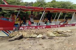 Krokodil und Wildlife Abenteuer von Jaco