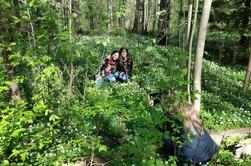 Tour de Bicicleta Privada en el Bosque de Helsinki