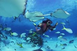 No Certification Required Guided Scuba Diving Tour