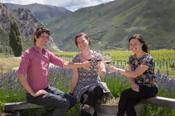 Otago Wine Tours de Queenstown