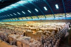 Private Day Tour van Terracotta Warriors, Xi'an Museum, Small Wild Goose Pagoda, Stadsmuur en islamitische Straat