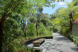 Penang Hill Habitat Caminhada pela Natureza Incluindo Almoço