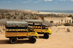 Baja Ranch Tour and Camel Safari from Los Cabos