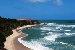 Excursión de día completo a la playa de Pipa