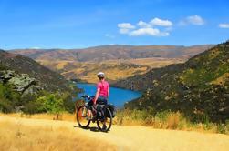 Excursion d'une journée à Roxburgh Gorge Cycle Tour à partir de Queenstown