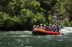 Rangitaiki, rivière, blanc, eau, pittoresque, Rafting, Rotorua